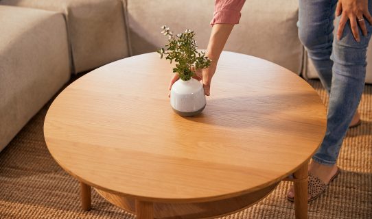 A woman starts decorating her coffee table with a simple vase of flowers